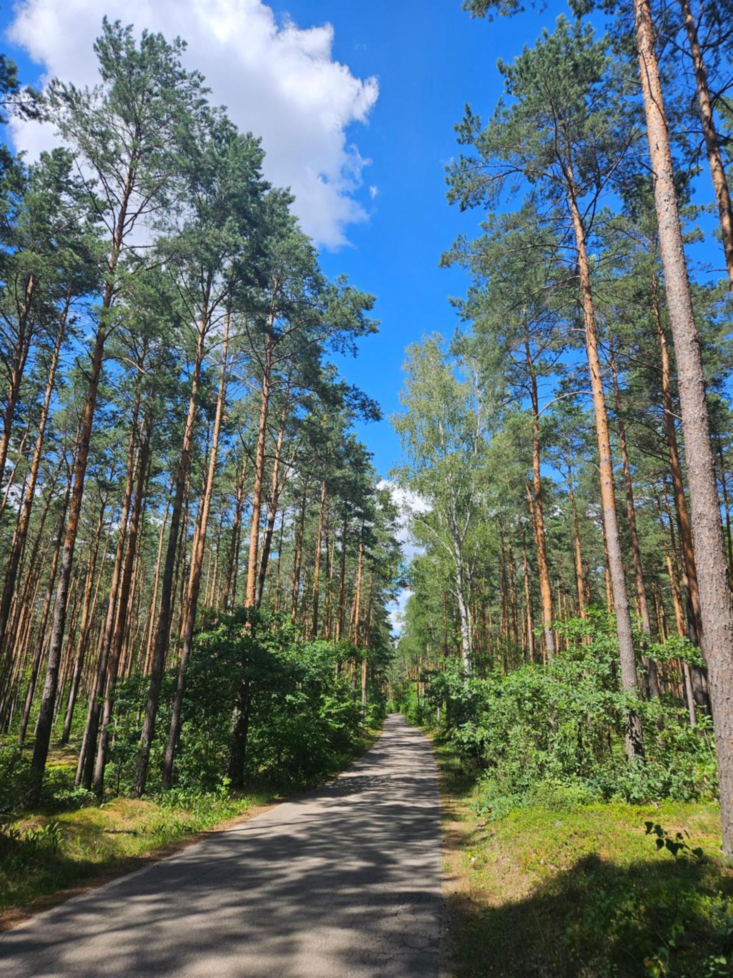 Dom Z Linia Brzegowa Narwi 2 Pultusk